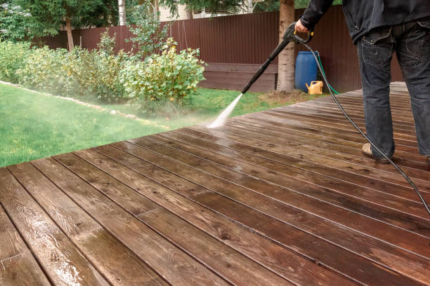 Best Fence Cleaning  in Penitas, TX