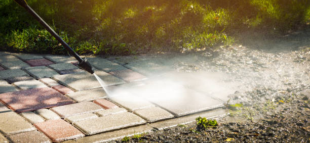 Best Building Exterior Washing  in Penitas, TX