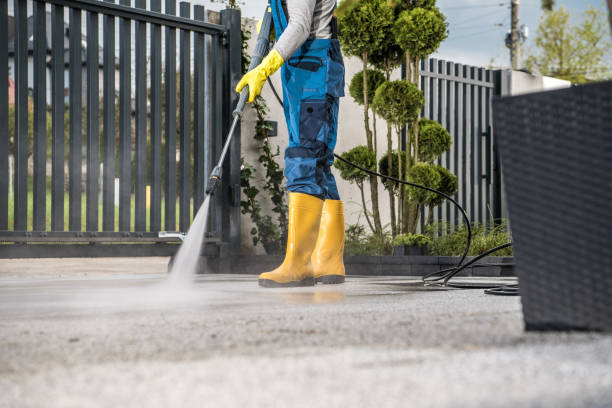 Best Patio and Deck Pressure Washing  in Penitas, TX